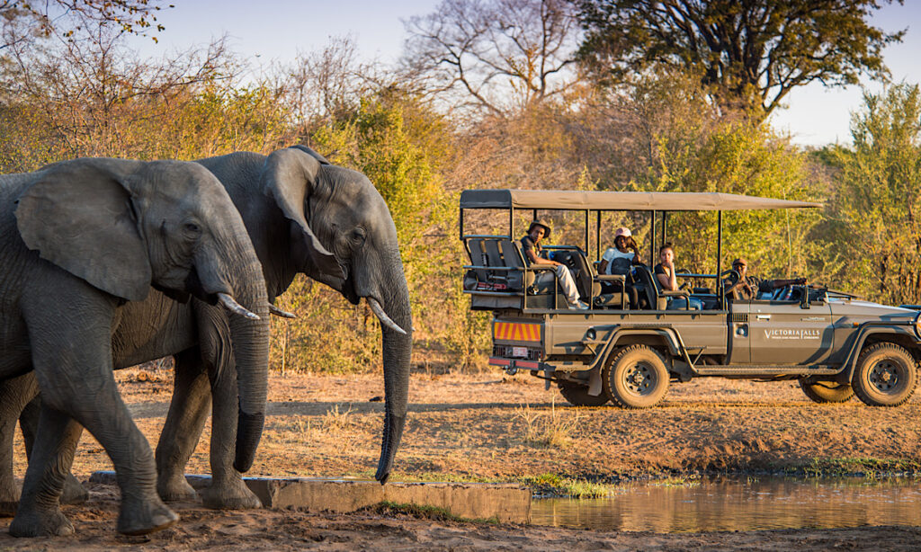 Group Tours & Safaris Car Rental