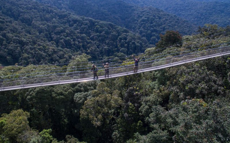 Nyungwe Forrest National Park
